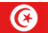 flague de la tunisie